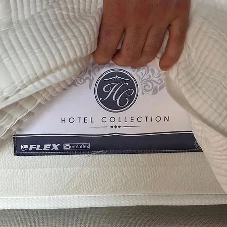 Homestay Guggenhome Bilbao