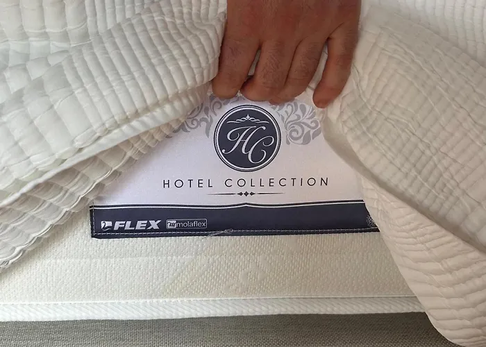 Проживание в семье Guggenhome Бильбао